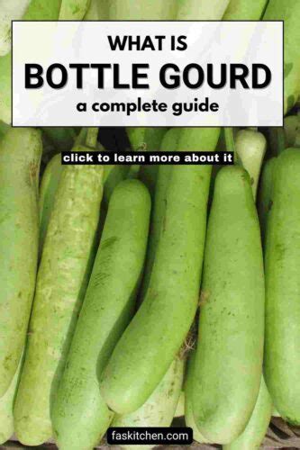 Bottle Gourd 101 Nutrition Benefits How To Use Buy Store Bottle Gourd A Complete Guide