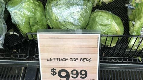 Iceberg Lettuce Price Guide Where You Can Get It And How Much It Costs