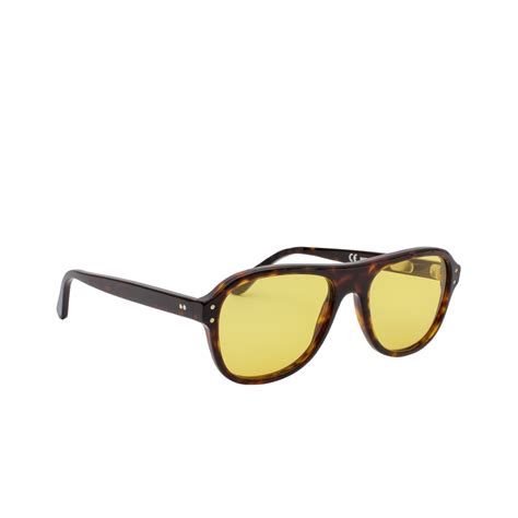 Avedon Dark Havana Sunglasses P Johnson