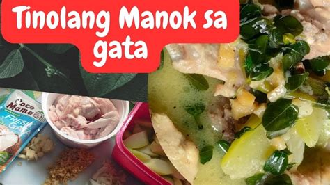 Tinolang Manok Sa Gata Recipe Easy Ulam Recipe Chicken Recipe