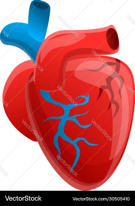 Biology Human Heart Icon Cartoon Style Royalty Free Vector