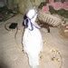 Crowned Duck Decorated Duck OOAK Duck White Duck Etsy