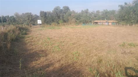 Agricultural Land 21 Guntha For Sale In Murbad Thane REI1227173