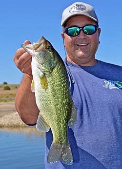 Swimbait Secrets | The Ultimate Bass Fishing Resource Guide® LLC