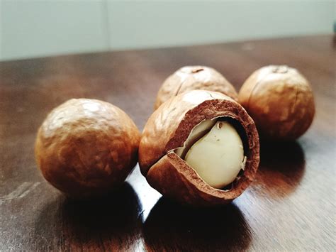 Macadamia Nut Nutrition Facts Calories Carbs And Health Benefits