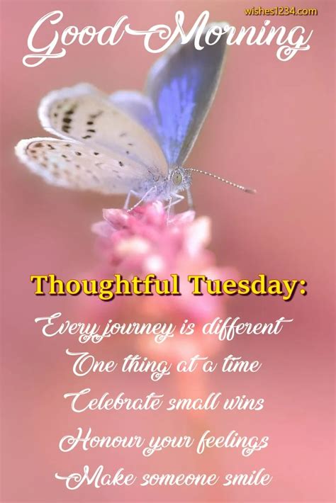 Happy tuesday blessings and quotes – Artofit