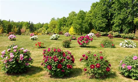 Botanical Garden Praga Czech Republic, Parks, HD Wallpaper | Rare Gallery