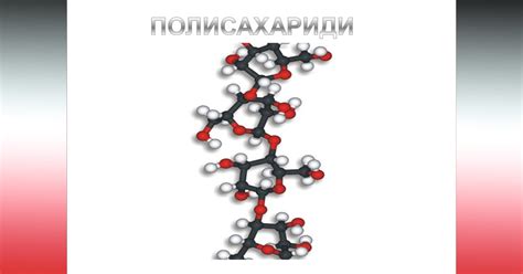 Полисахариди