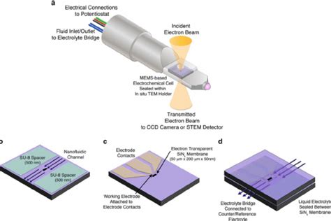 Esteem Webinar Liquid Cell Transmission Electron Microscopy From