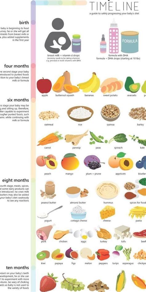 Baby Food Timeline Allowed Foods For Baby Birth To 10 Months Baby