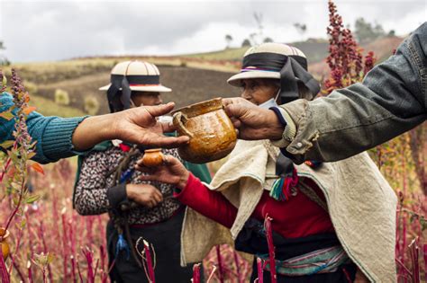 Economía social y solidaria una economía al servicio de las personas