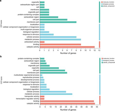 Gene Ontology Classification Of DEGs For 2 Groups A B GO