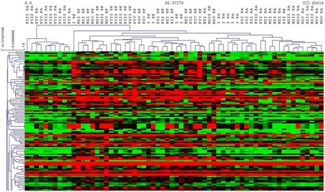 Heat Map Of Population Specific Genes Hierarchical Clustering Obtained Download Scientific