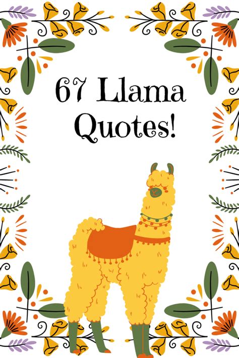 67 Adorable Llama Quotes, Captions & Sayings - Darling Quote