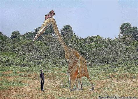 We Posed These Prehistoric Animals Next to Human Beings