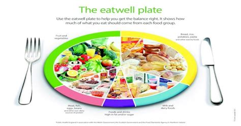 Pdf The Eatwell Plate Nhs Shetland€¦ · The Eatwell Plate Use The