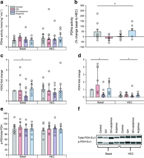 Pdh Activity Activity Of Pdha In Skeletal Muscle In The Basal State Download Scientific