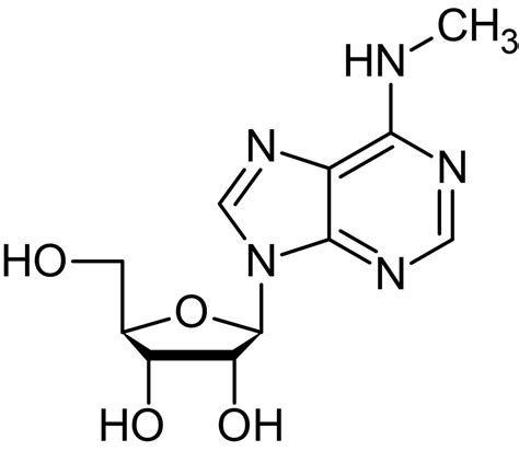 N6 Methyladenosine M6a ，modified Adenosine Analog Abcam中文官网