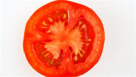 Anatomy of a Tomato Plant | Garden Guides