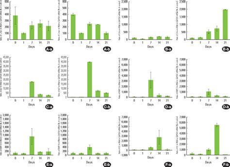 Figure From Gene Expression Pattern During Osteogenic Differentiation