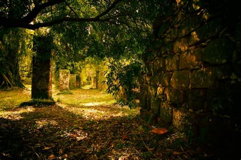 Las Ruinas De La Casa Vieja Foto Premium