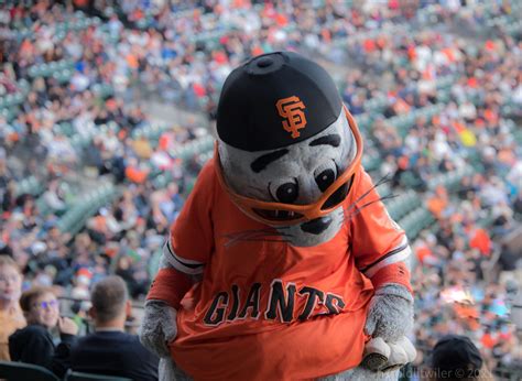 San Francisco Giants Mascot, Lou Seal | Made with www.adobe.… | Flickr