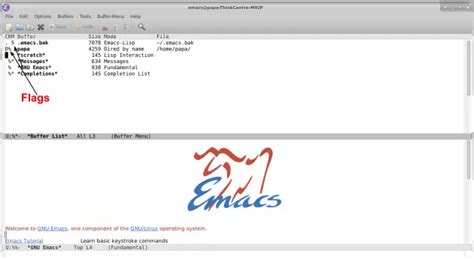 Basic Emacs Command Explained In Detail