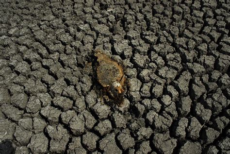 Desastres Naturales Se Han Duplicado En Los últimos 30 Años Onu