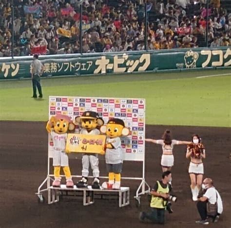 Yahooオークション 7月28日（日）阪神甲子園球場 阪神タイガースvs