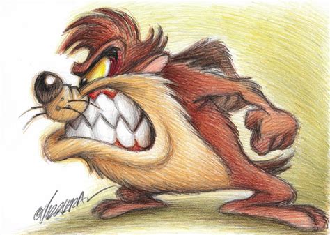 Tasmanian Devil Taz Original Drawing Joan Vizcarra Catawiki