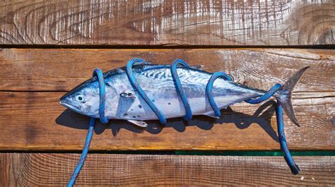 Mercurio En El Pescado ¿debemos Reducir Su Consumo