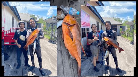 Private Trip Di Pulau Miang Berburu Ikan Buat Lauk Youtube