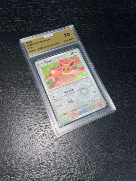 OBSIDIAN FLAMES Pokémon Graded Card UCG 10 Eevee Catawiki