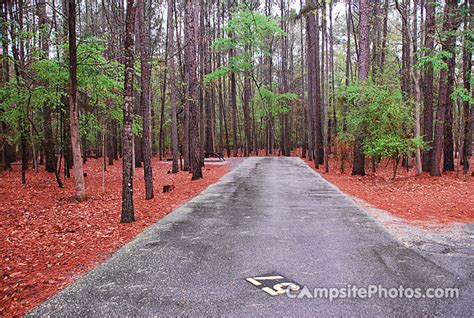 Lake Wateree State Park - Campsite Photos, Camping Info & Reservations