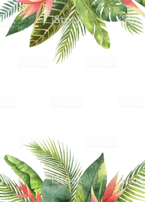 Watercolor Rectangular Frame Tropical Leaves And Branches Isolated On