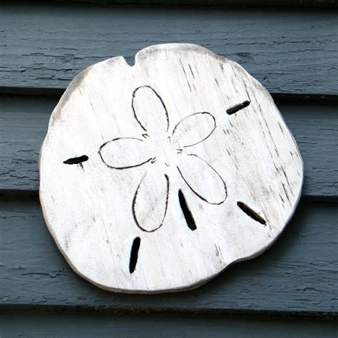 Sand Dollar Wall Art Sand Dollar Wall Decor Haven America