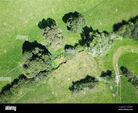 birds eye view of grass from above looking straight down Stock Photo ...