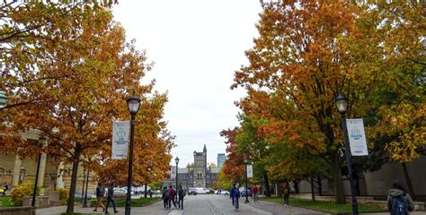 The five best places to see fall foliage in Toronto | Curated