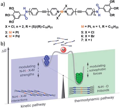 A Pt II And Pd II Complexes 3 7 Investigated By Our Group