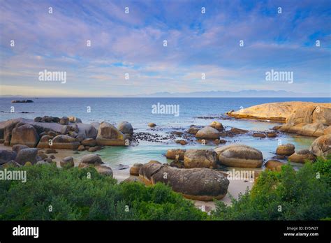 Boulders Beach - South Africa Stock Photo - Alamy