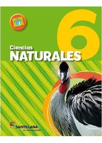 Ciencias Naturales 6 Nacion Santillana En Movimiento De Vv Aa