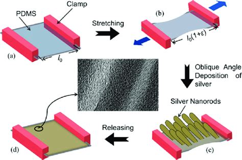 Schematic Illustration Of The Fabrication Of PDMS Film With Dual Scale