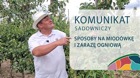 Metody na zatrzymanie miodówki i pseudomonas w gruszy Komunikat