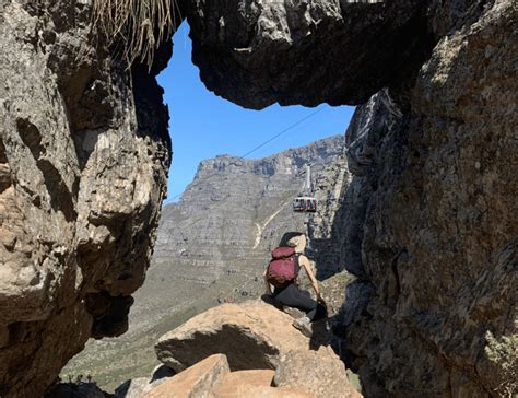 Cape Town Half Day India Venster Hike On Table Mountain Getyourguide