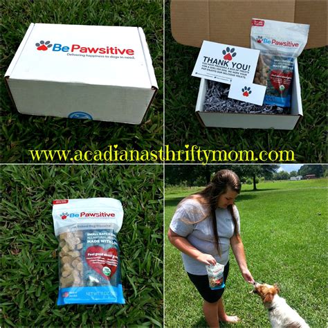 Be Pawsitive Monthly Subscription Box - Acadiana's Thrifty Mom