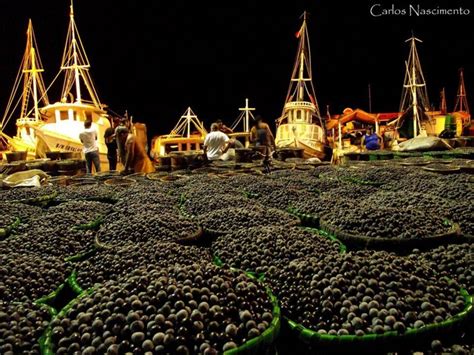 chegando o açaí no ver o peso Belém do pará Brasil turismo Lugares