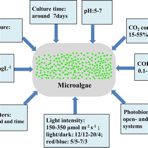 Removal Of Pollutants From Biogas Slurry And CO2 Capture In Biogas By