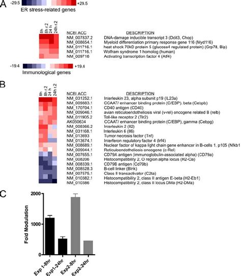 Gene Expression Profiling Of A20 B Lymphoma Cells Under Conditions Of