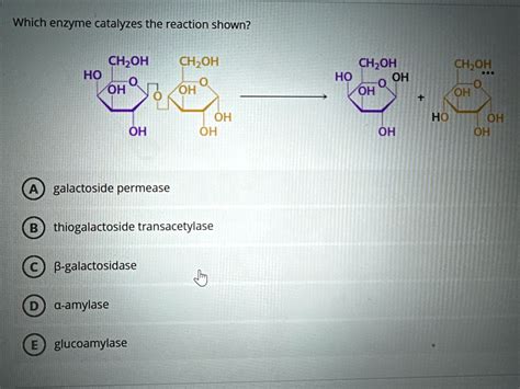 Which Enzyme Catalyzes The Reaction Shown Galactoside Permease