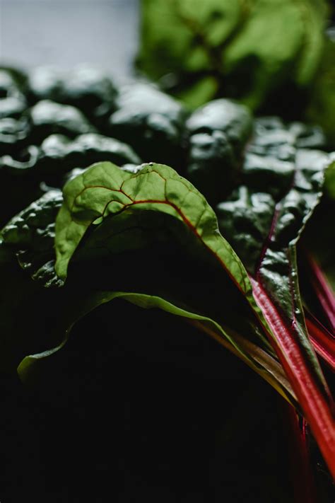 The Overlooked Mineral That Could Be Your Secret Weapon Against Cancer